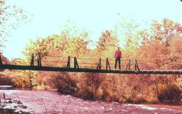 Richard Hankings on foot bridge DeBruce Rd. 1958.jpg